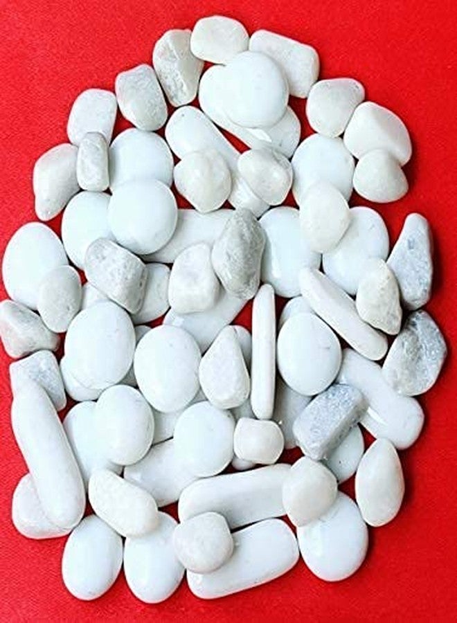 Parakh Glossy Mix Shaped White Colour Pebbles 300gm - Image 4